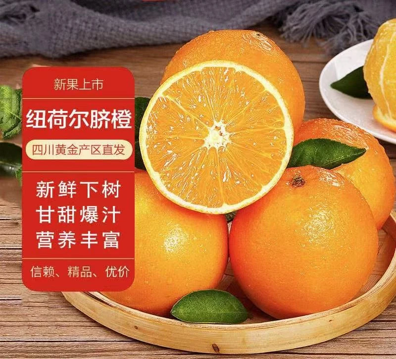 买5斤送5斤四川高山脐橙产地直发带箱10斤包邮坏果包赔