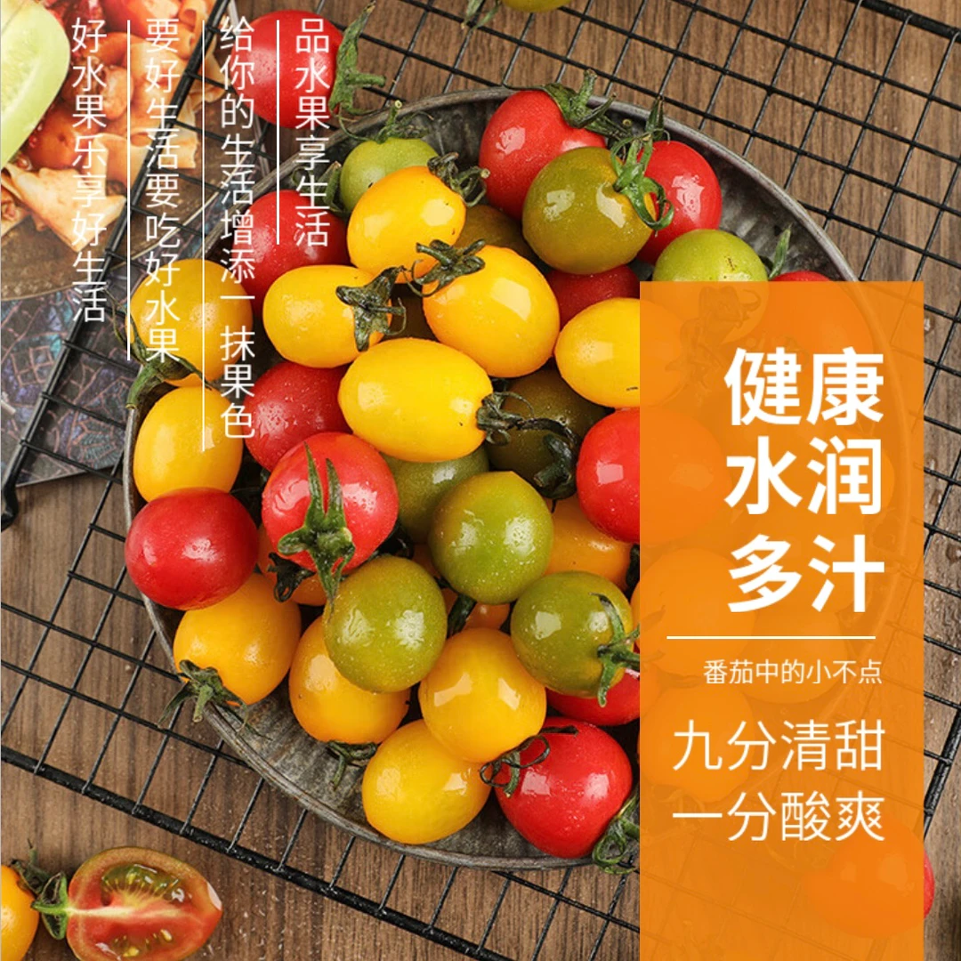 云南七彩小番茄1000g