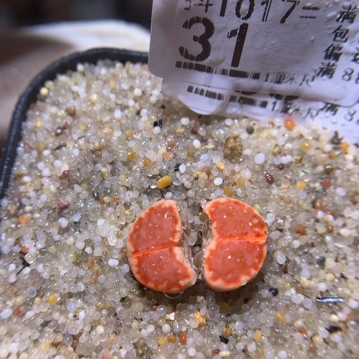 精品生石花1017.31