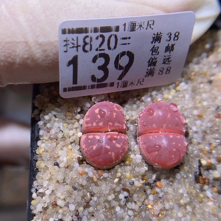 精品人石花820.139