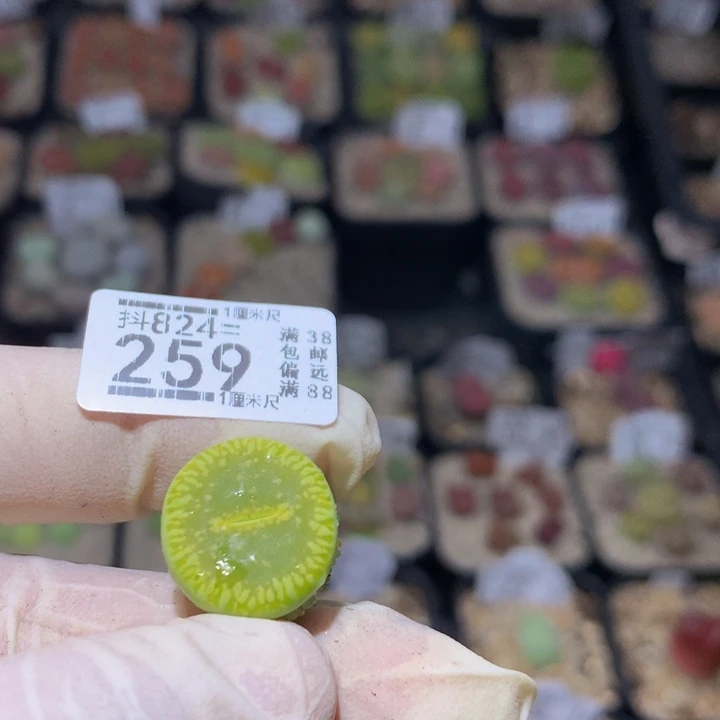 小***行精品课程建设项目824.259
