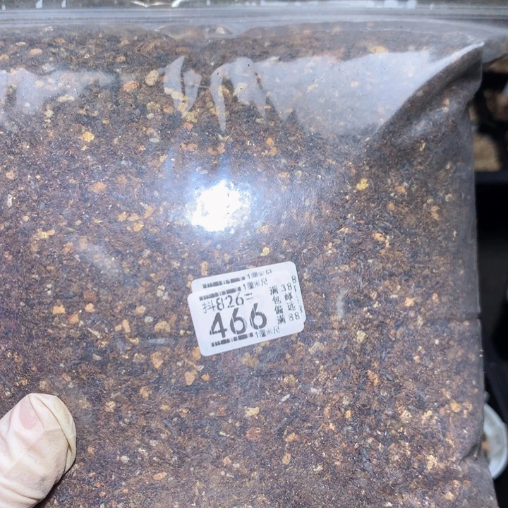 好好看的生石花826.466