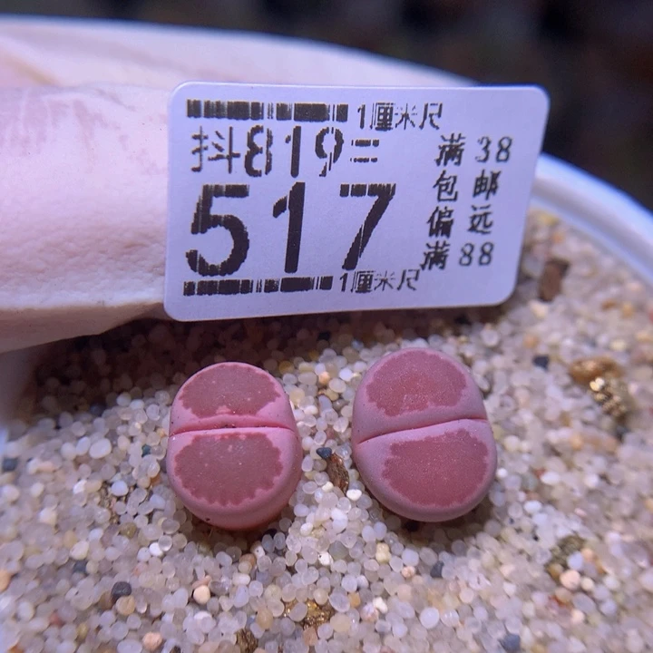 精品生石819.517