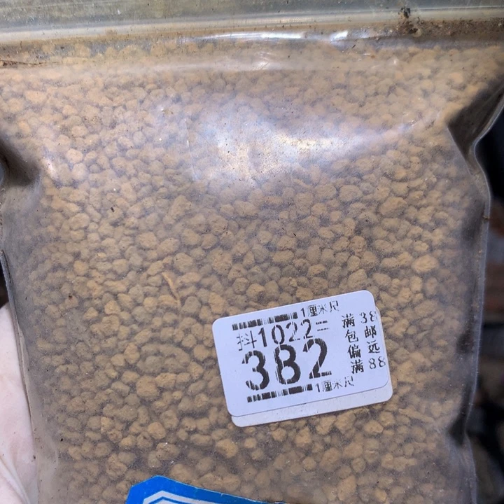 精品生石花1022.382