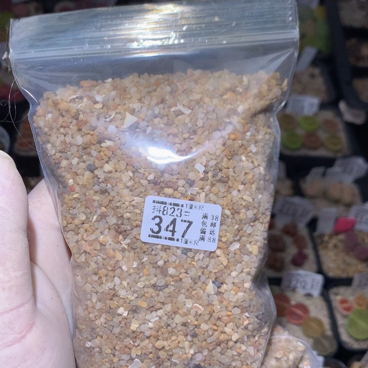 好看的生石花823.347