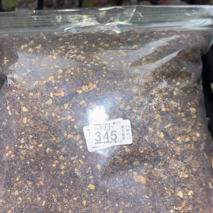 快来拍我呀823.345