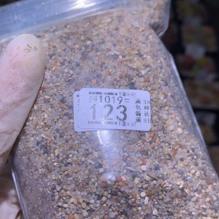 精品生石花1019.123