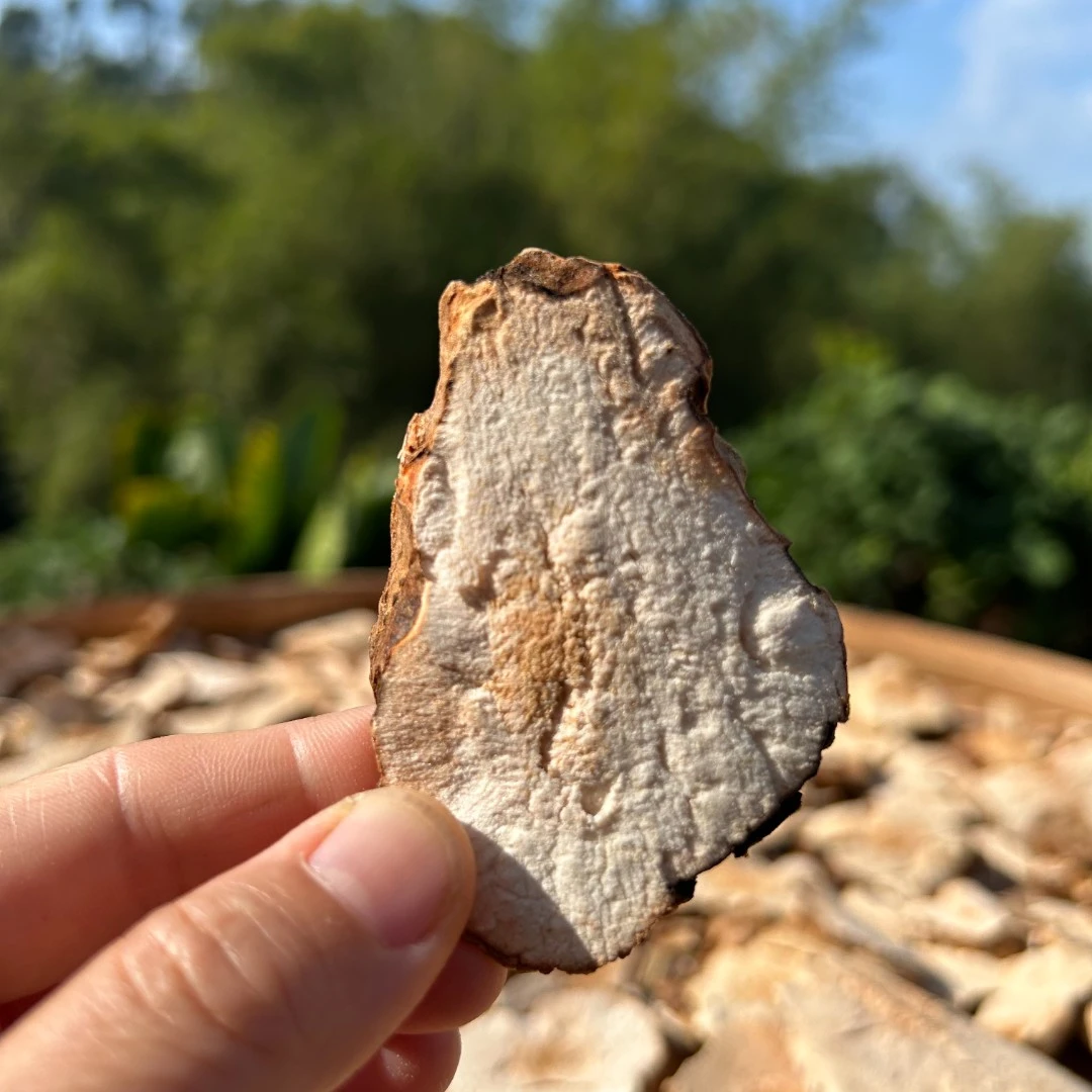 广西深山也生硬饭头根茎250g 农产品