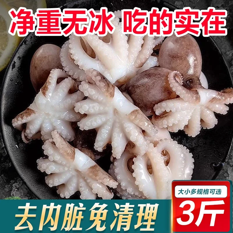 鲜活速冻迷你八爪鱼500g/包三去单冻短腿小章鱼深海捕捞新鲜上岸
