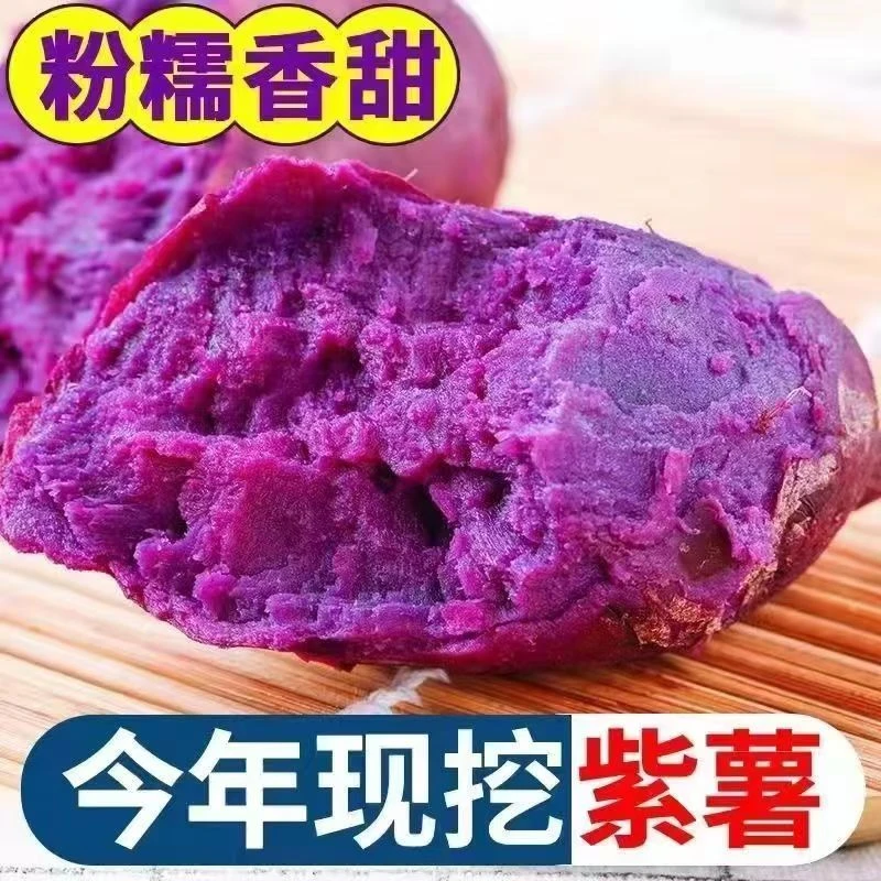 （坏薯包赔）新鲜沙地紫薯红薯番薯地瓜香甜粉糯5斤大中直发优