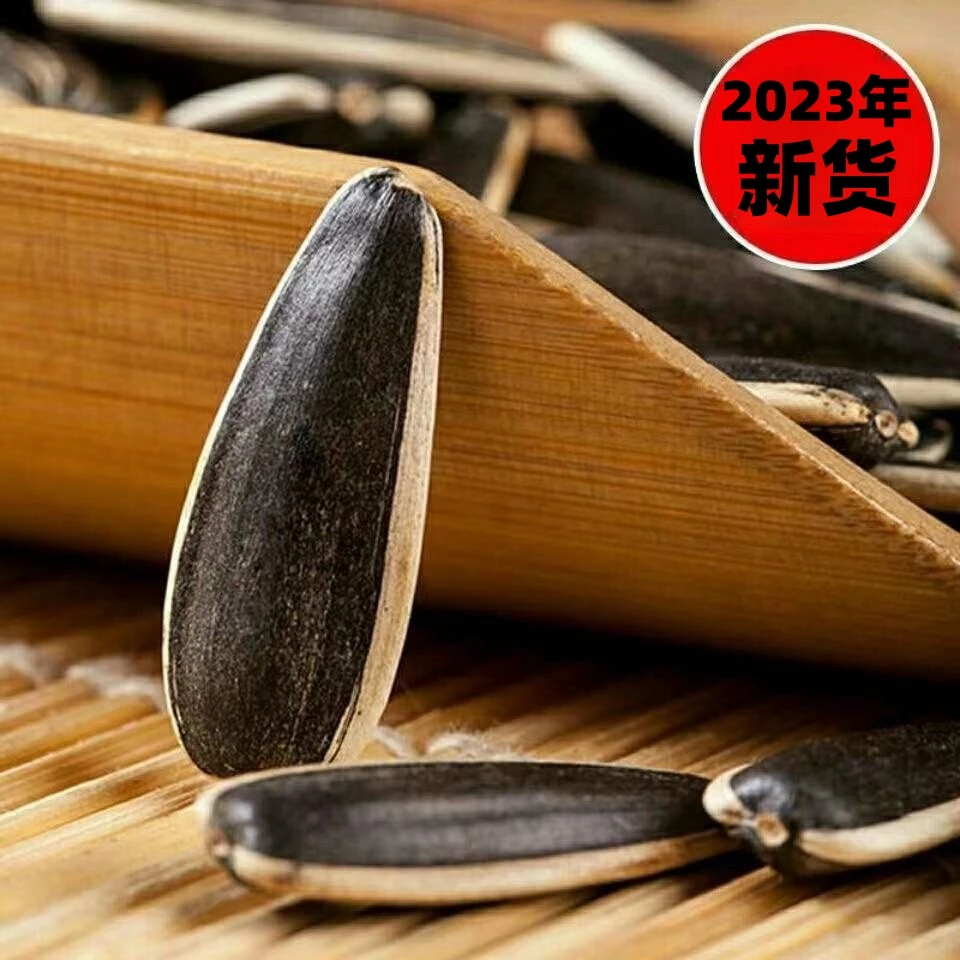 休闲内蒙正宗原味批发新货大颗粒葵花特大团购厂家直销葵花籽新鲜