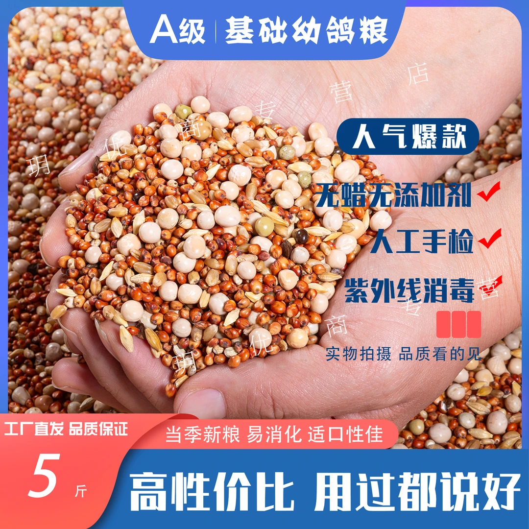 5斤新鲜无玉米鸽子粮A级基础幼鸽粮营信鸽观赏鸽肉鸽幼鸽成鸽粮食