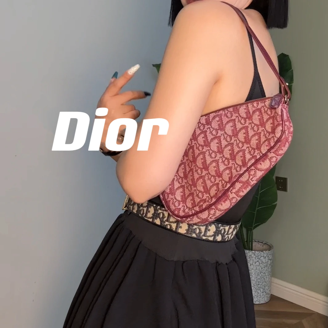 95新 DIOR/迪奥 /615472/刺绣老花马鞍包
