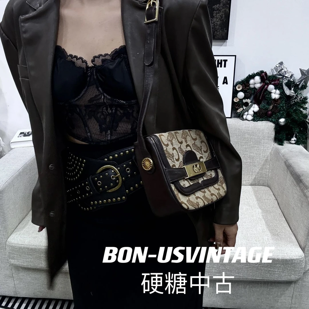 95新 Celine/思琳 /614287/思琳马车邮差