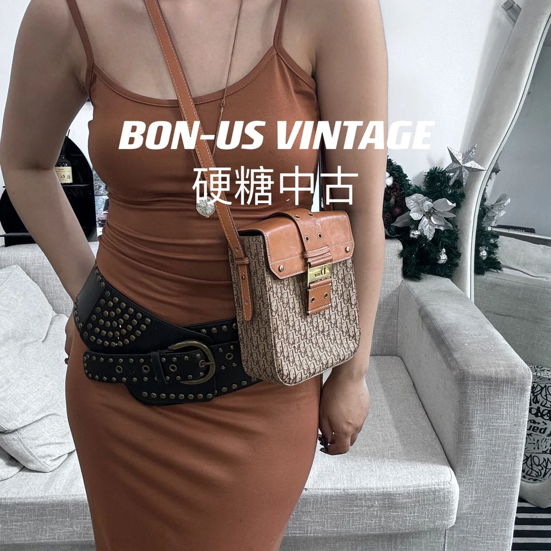 95新 DIOR/迪奥 616611/punk相机包