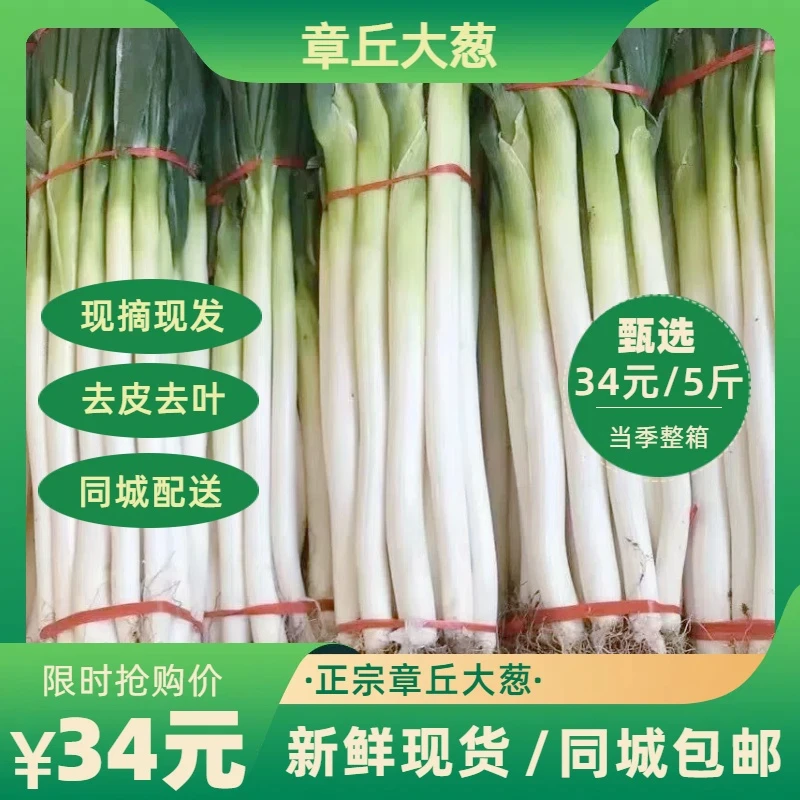 章丘大葱礼盒装5斤 精选高白脆甜可生吃清脆可口