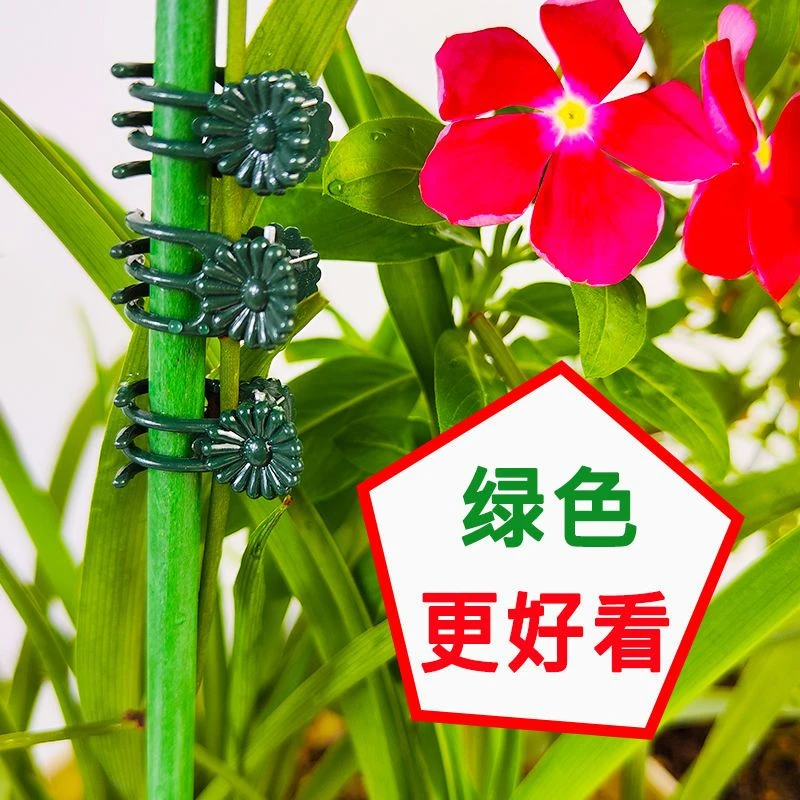 蝴蝶兰专用夹子园艺夹花枝花卉固定花夹子番茄兰花爬藤植物固定夹