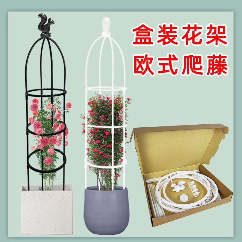 花架爬藤架子铁线莲月季花支架花盆植物攀爬支架室内山乌龟支撑杆