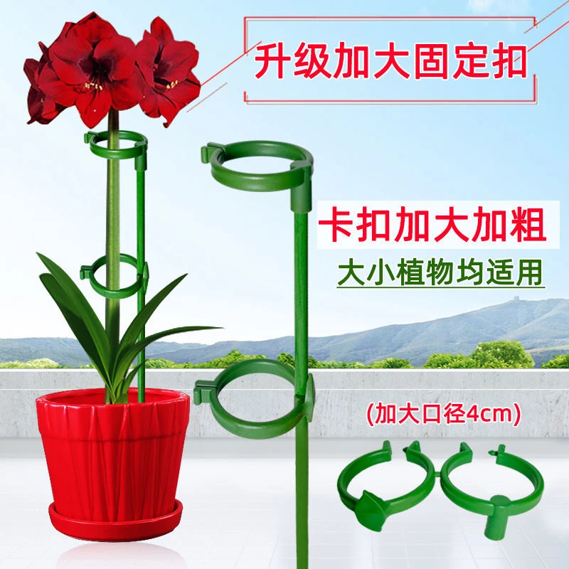 防倒伏花架植物固定架子爬藤绣球撑花支架室外花园月季园艺支撑杆