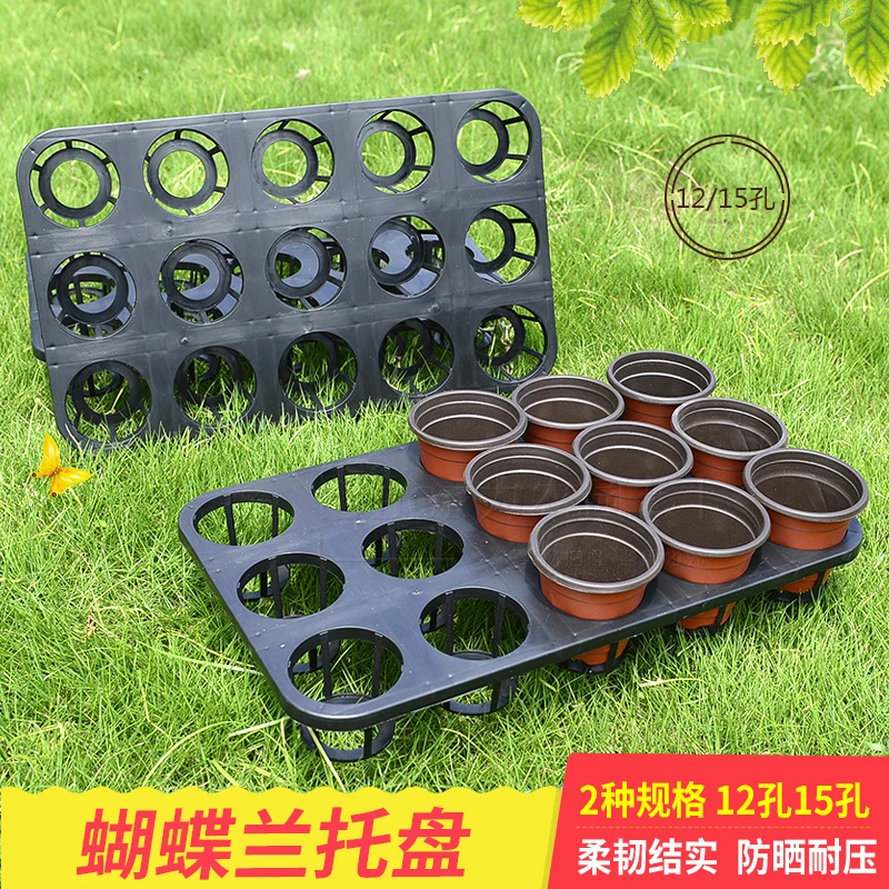 12孔15孔穴盘托盘花卉育苗盆花盘托架塑料托盘 蝴蝶兰托盘 万象盘