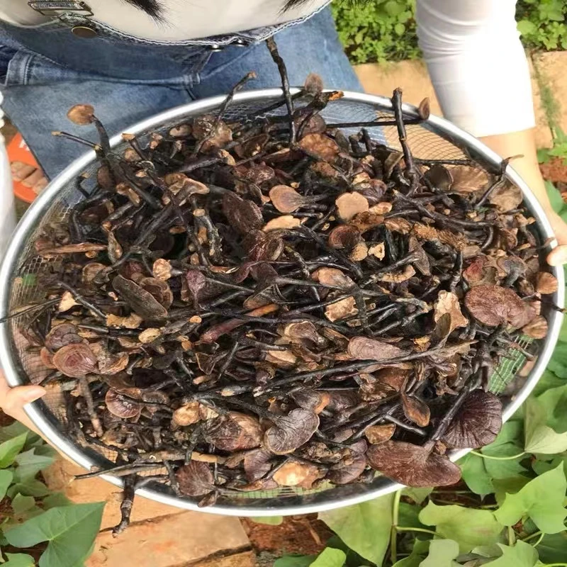 佳佳山货  土特产    竹灵 250/500g