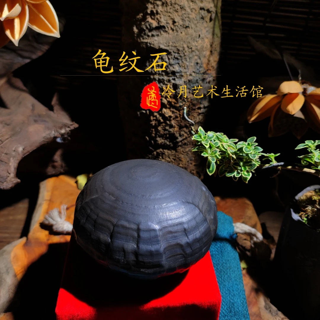 精品客厅玄关书房茶室禅意龟纹石摆件