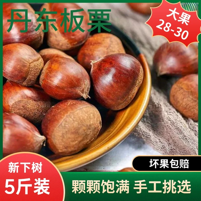 难剥皮辽宁丹东高山板栗5斤大果板栗单果坏果包赔2025新果赠栗爪