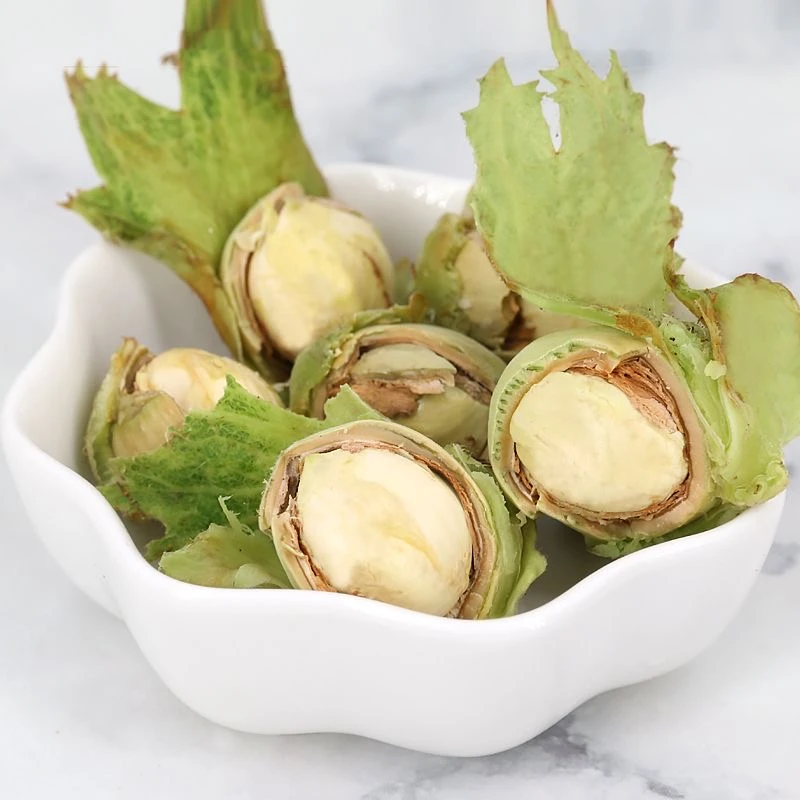 东北新鲜大榛子水仁鲜瓤现采现发新鲜到家包邮的鲜榛子