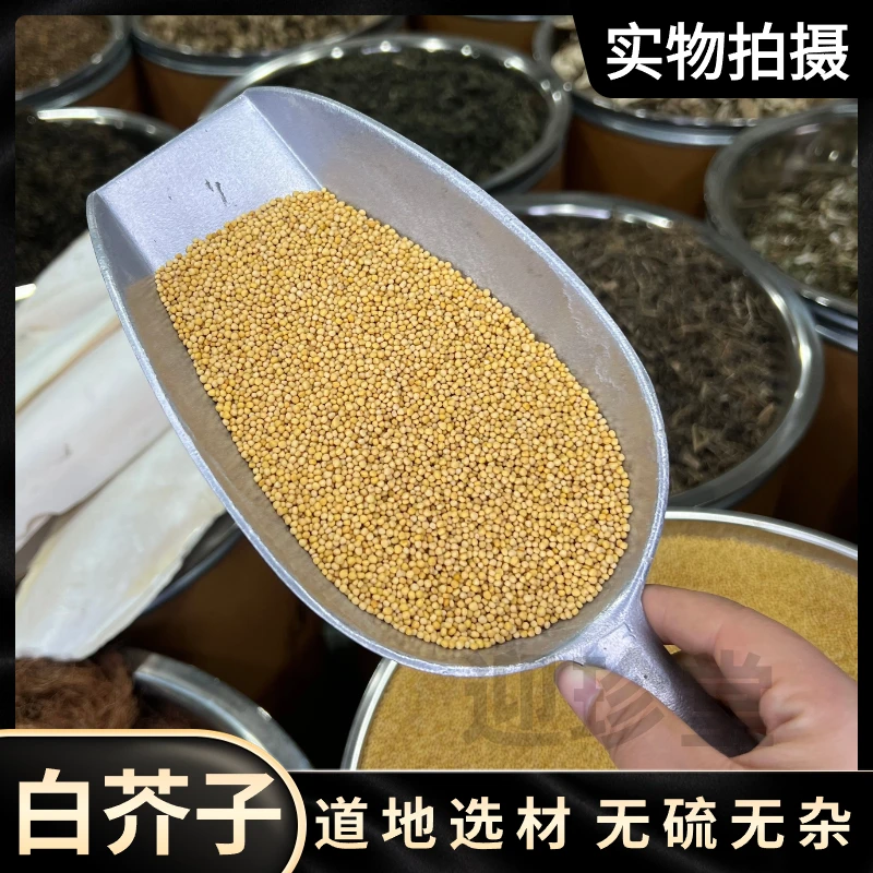 【白芥子】黄芥子粉芥菜子辣菜子炒白芥子辣菜籽无硫正品配滋补养生