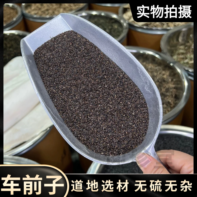 迎珍堂车前子车前草籽车前子茶车前籽道地产区品质保障 另售 枸杞
