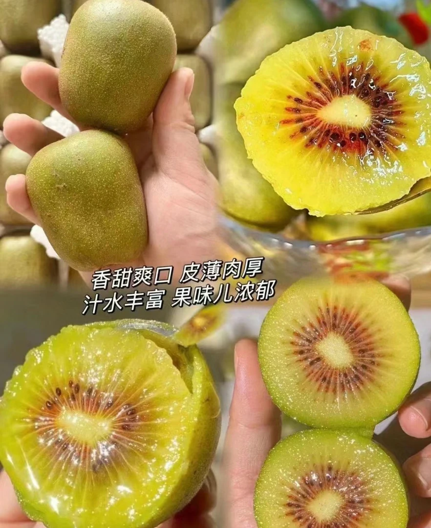 红心黄肉猕猴桃（5个装）