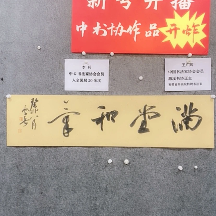 【闪购商品】书法书法作品欣赏