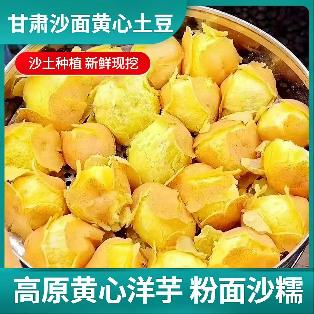 【新鲜现挖】甘肃高原沙面土豆带箱9斤黄心黄皮薯条专用马铃薯洋芋1