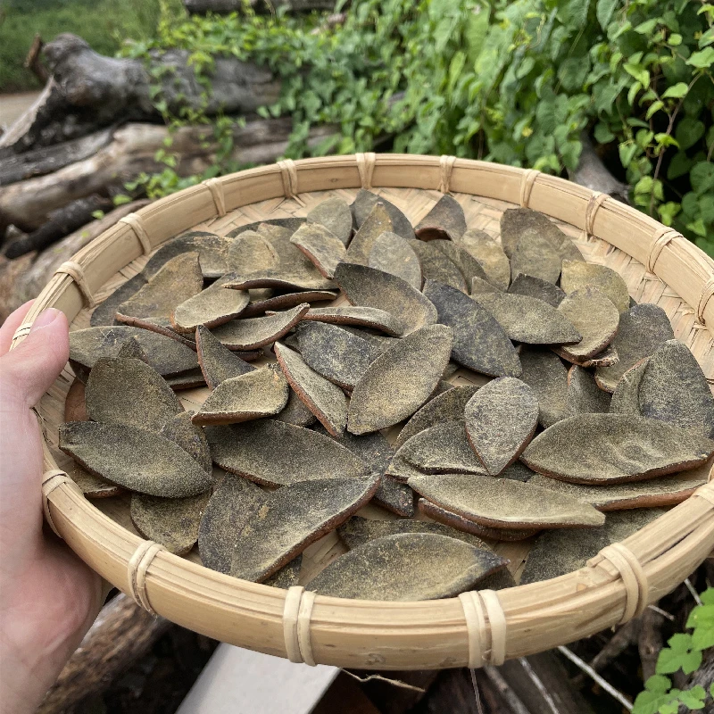 【啊信臻选】化橘红8年头茬胎果皮化橘红（核心产区直发正品保证）