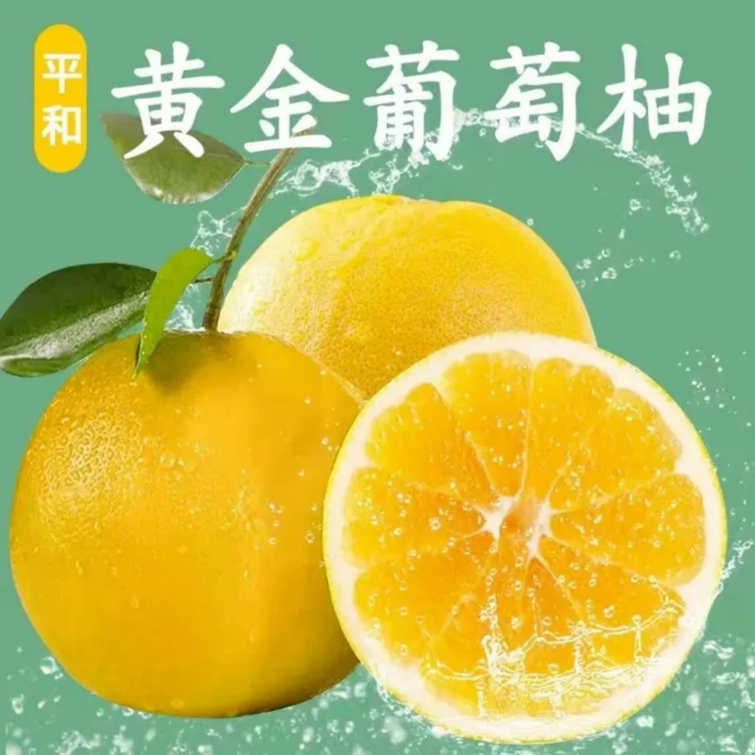 【绝无仅“宥”】黄金葡萄柚 福建平和爆汁香甜榨汁水果 4.5斤