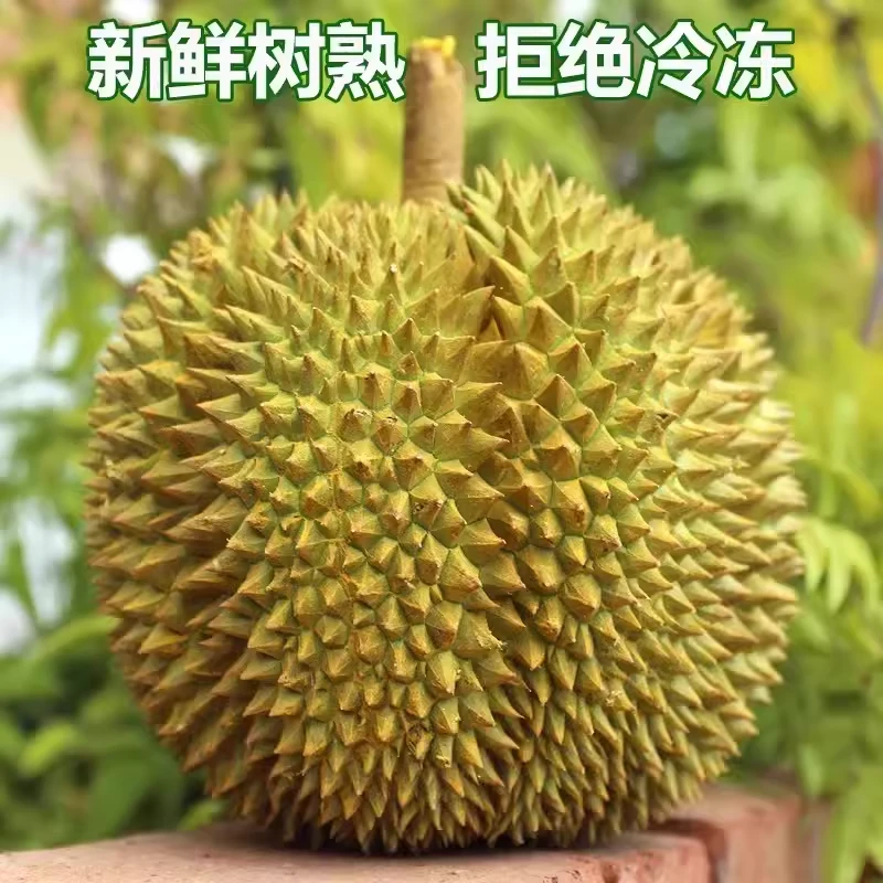 【现场挑选】金枕新鲜一物一拍泰国进口榴莲肉厚软糯香甜