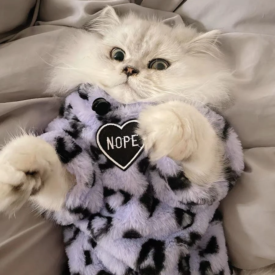 紫色小豹纹~冬季厚毛绒猫咪衣服宠物保暖卫衣英短比熊衣服