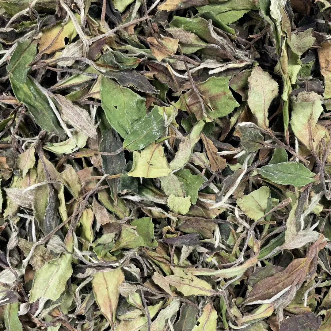 2024年日晒散茶管阳高山福鼎白茶花香鲜爽冰糖甜白露寿眉白露寿眉