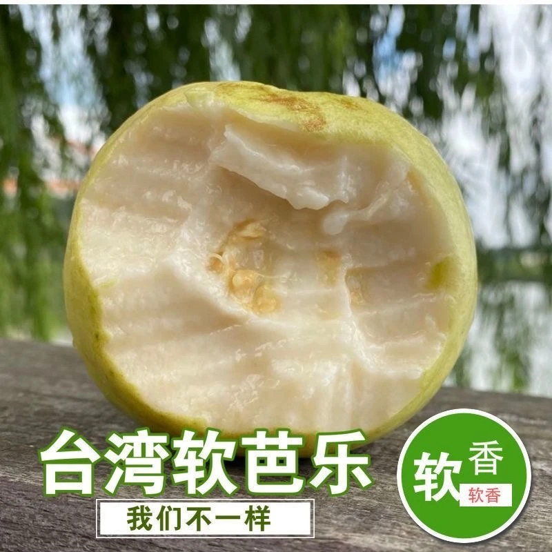 广西软番石榴土芭乐新鲜水果白心香软芭乐白软糯鸡屎果5/3/2斤装
