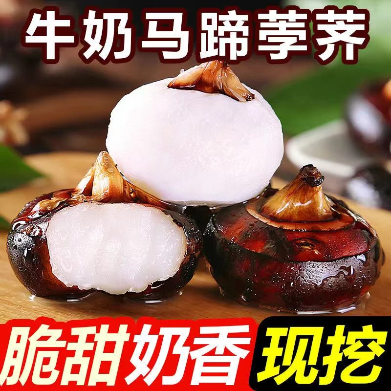 新鲜马蹄荸荠现挖带泥孕妇水果煲汤蔬菜地梨脆甜无渣红马蹄果批发