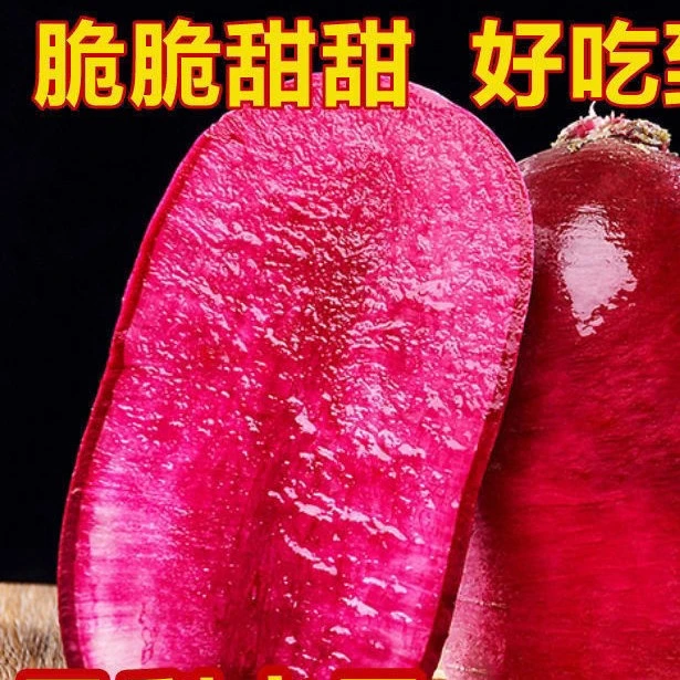 凤梨水果萝卜种子生吃脆嫩香甜春秋夏季蔬菜盆栽阳台水果萝卜种籽
