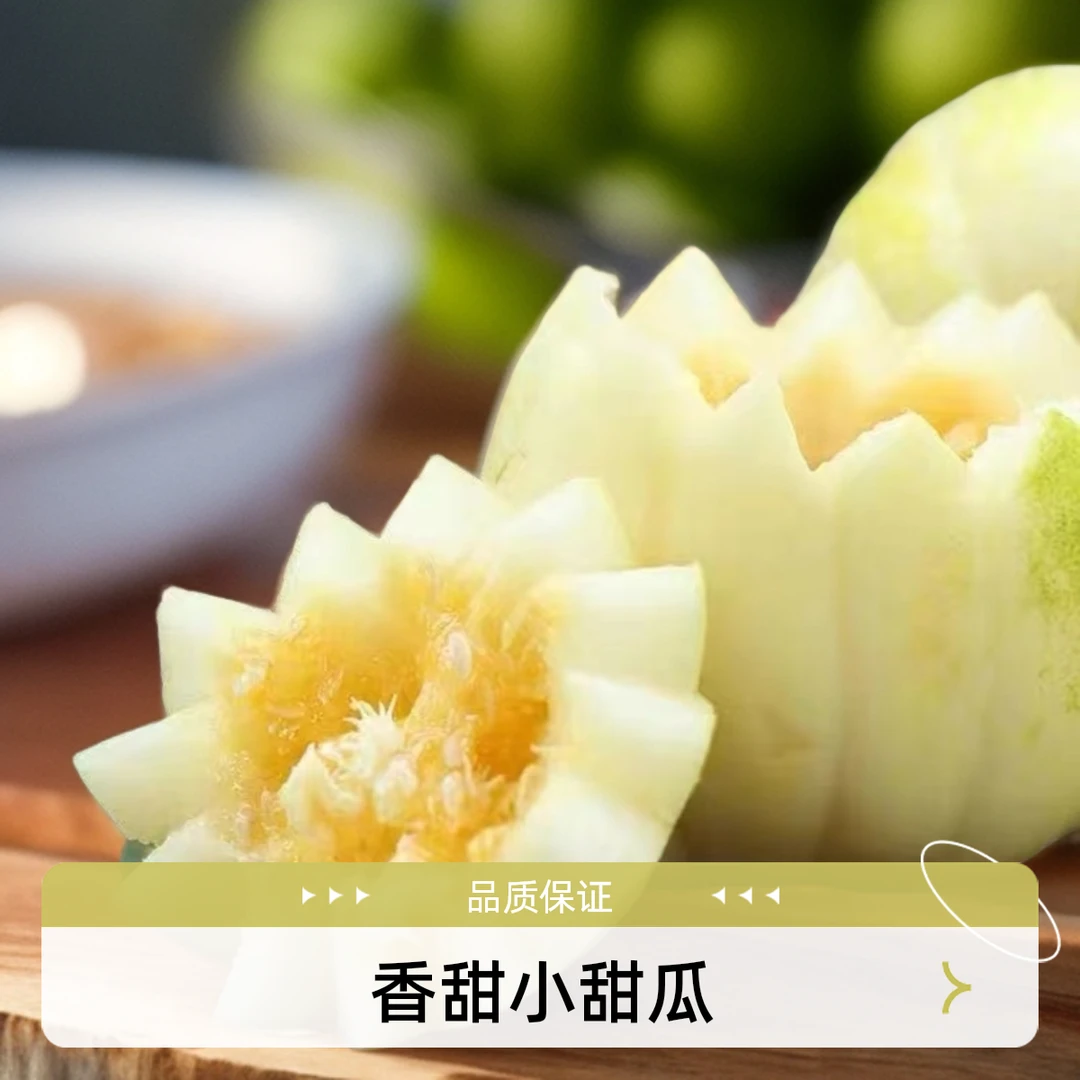 东北香瓜香甜小甜瓜现摘当季水果头茬脆甜瓜金妃整箱3斤5斤坏了包