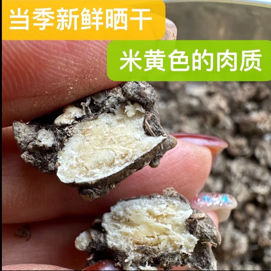 【陈红精选】野生猫爪草 散节草