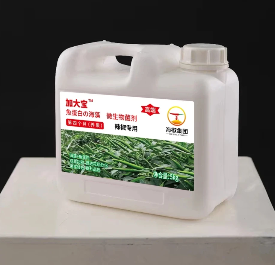 加大宝（一瓶3亩）第四个月养果