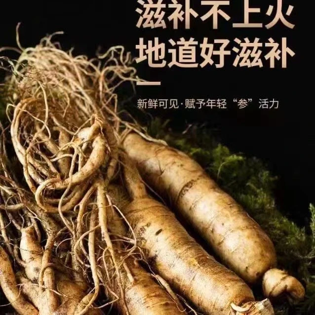 长白山 原产地 新鲜人参 三支每支60g送一支40g共四支 泡酒 熬汤