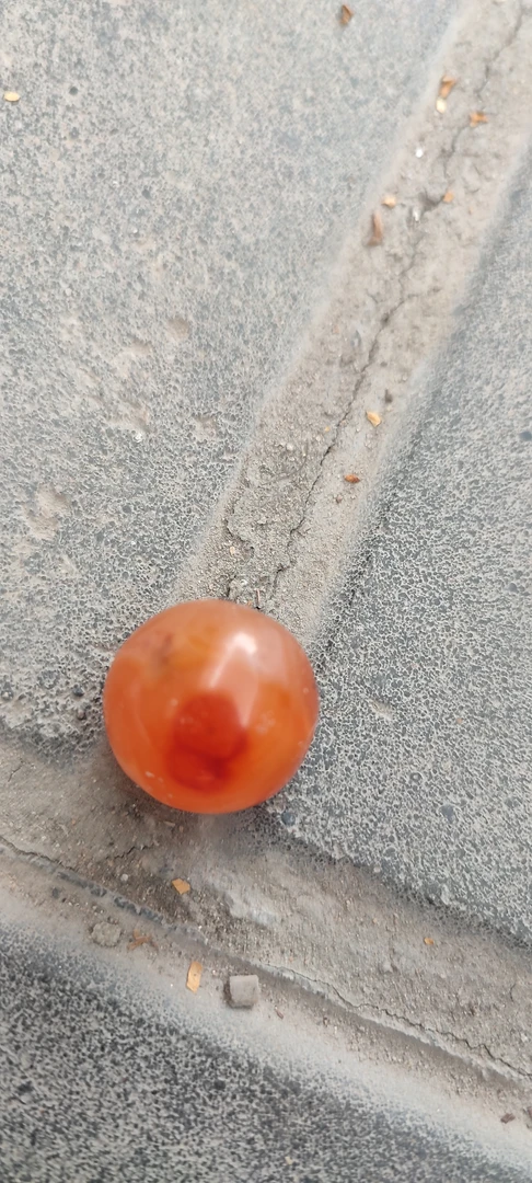 小红珠子小红珠子小珠子