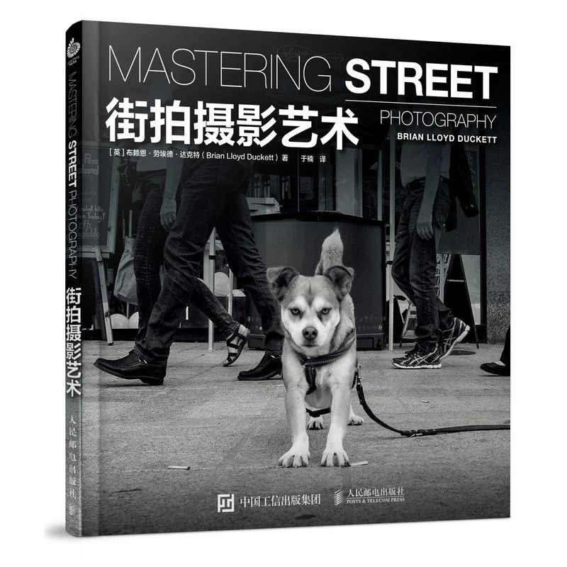 街拍摄影艺术 摄影书拍摄街景构图人像后期街拍摄影师倾囊相授