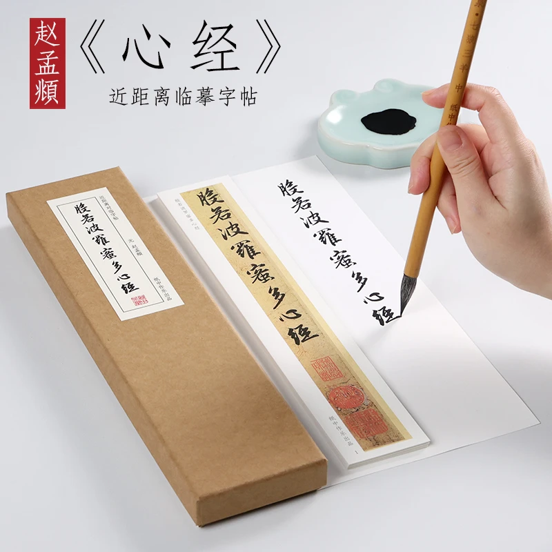 【荷仙子专属】 赵孟頫 行书《 心经》近距离书法临摹字帖