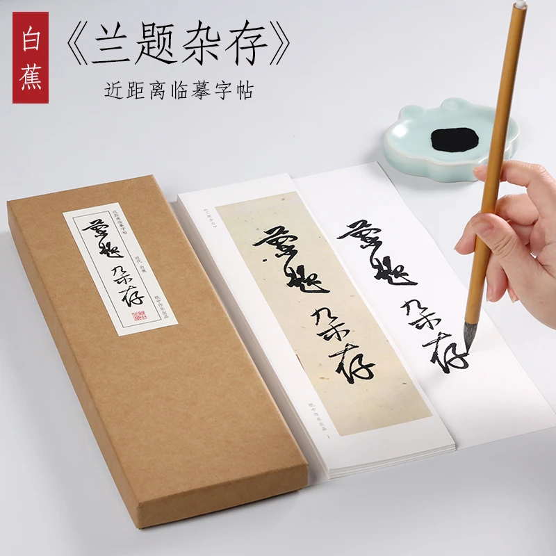 纸中作乐 白蕉兰题杂存十讲书法集论艺毛笔全集临摹字帖卡片 近