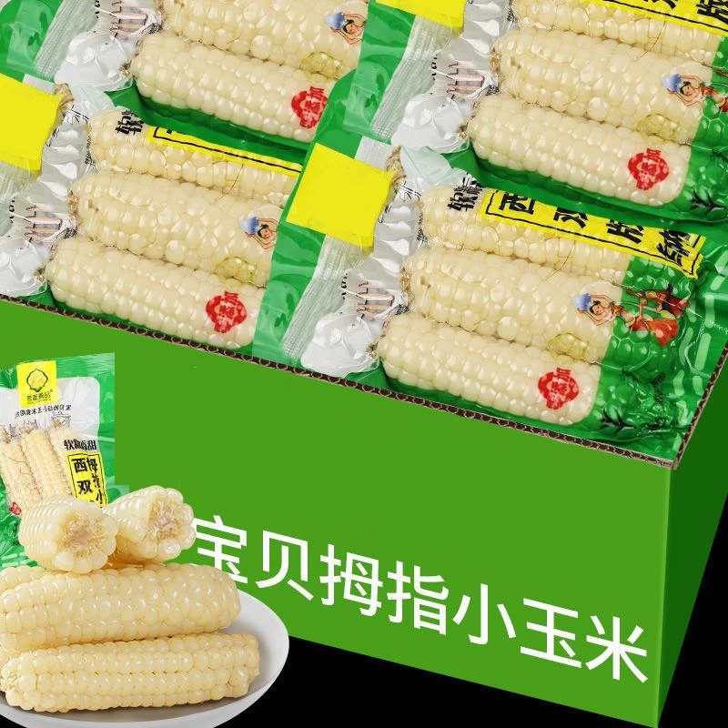 云南西双版纳宝贝拇指小玉米现摘甜白香糯新鲜迷你玉米棒宝宝孕妇